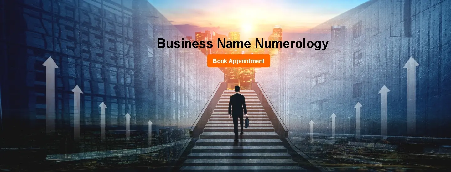 Career & Business Numerology